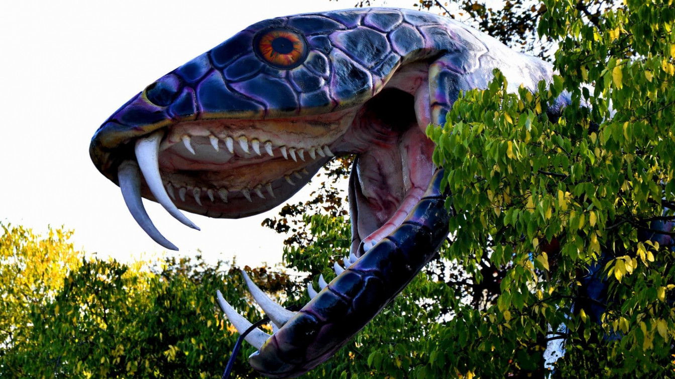 https://pixabay.com/de/photos/schlangenkopf-figur-wien-prater-2360718/ Wien spukt