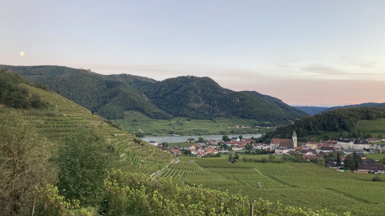 (c) Luisa Lutter | 1000things weinwanderung