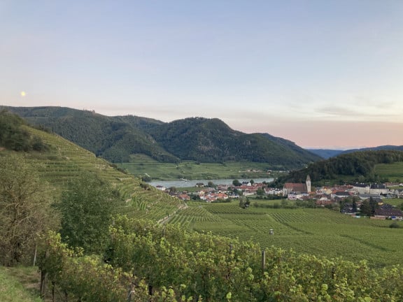 weinwanderung
