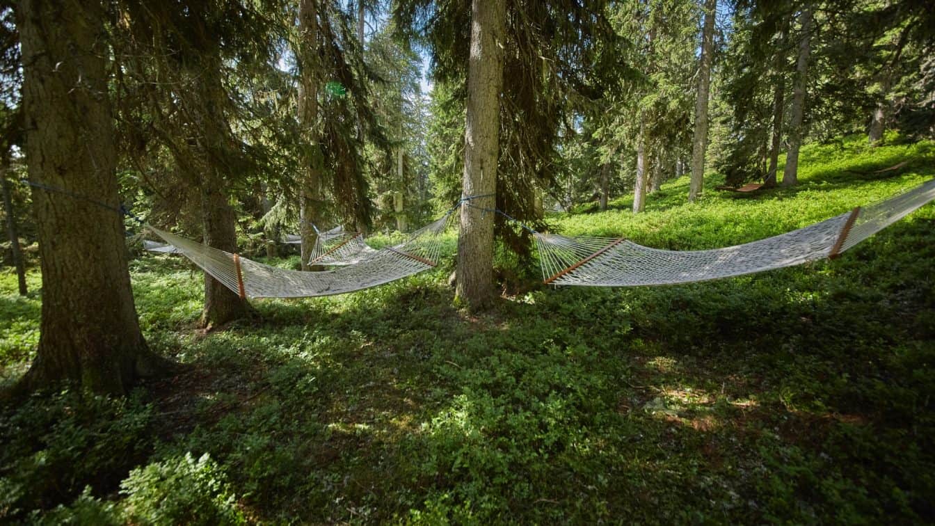 Waldwellness (c) saalbach.com, Daniel Roos Waldwellness (c) saalbach.com, Daniel Roos