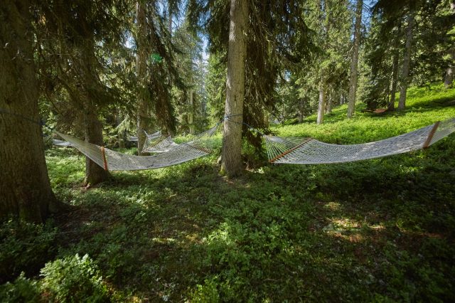 Waldwellness (c) saalbach.com, Daniel Roos
