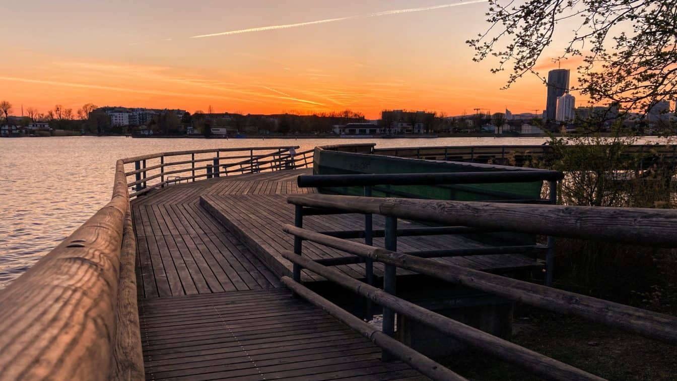 (c) Luisa Lutter Alte Donau