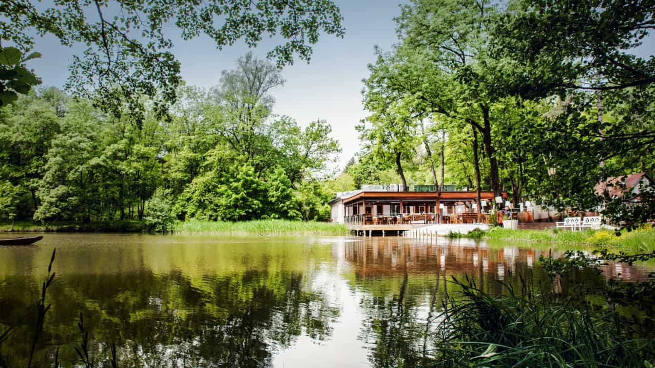 Klee am Hanslteich