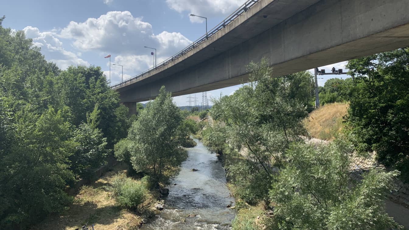 (c) Julia Riedesser 1000things Wienfluss Stadtspaziergang Natur
