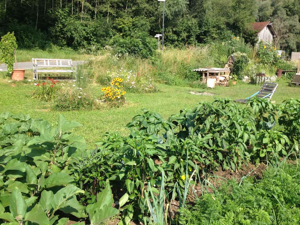 Gemeinschaftsgarten waXunion in Vorarlberg Nachhaltig Leben