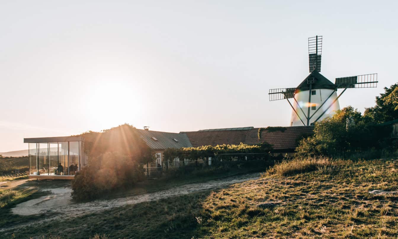 Weinviertel Windmühle Retz