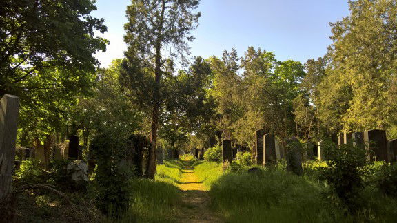 Zentralfriedhof Wien