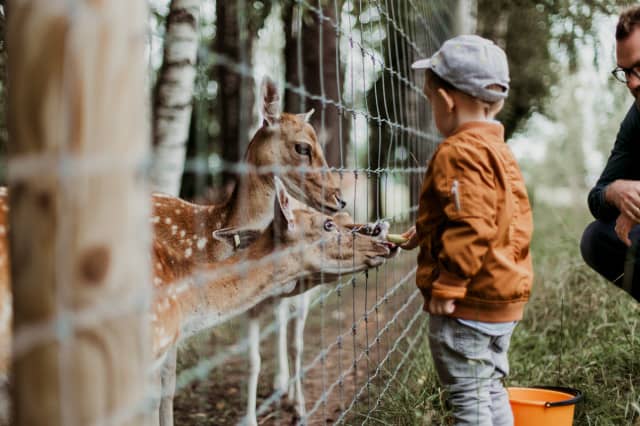 Neuroth (c) Daiga Ellaby | Unsplash