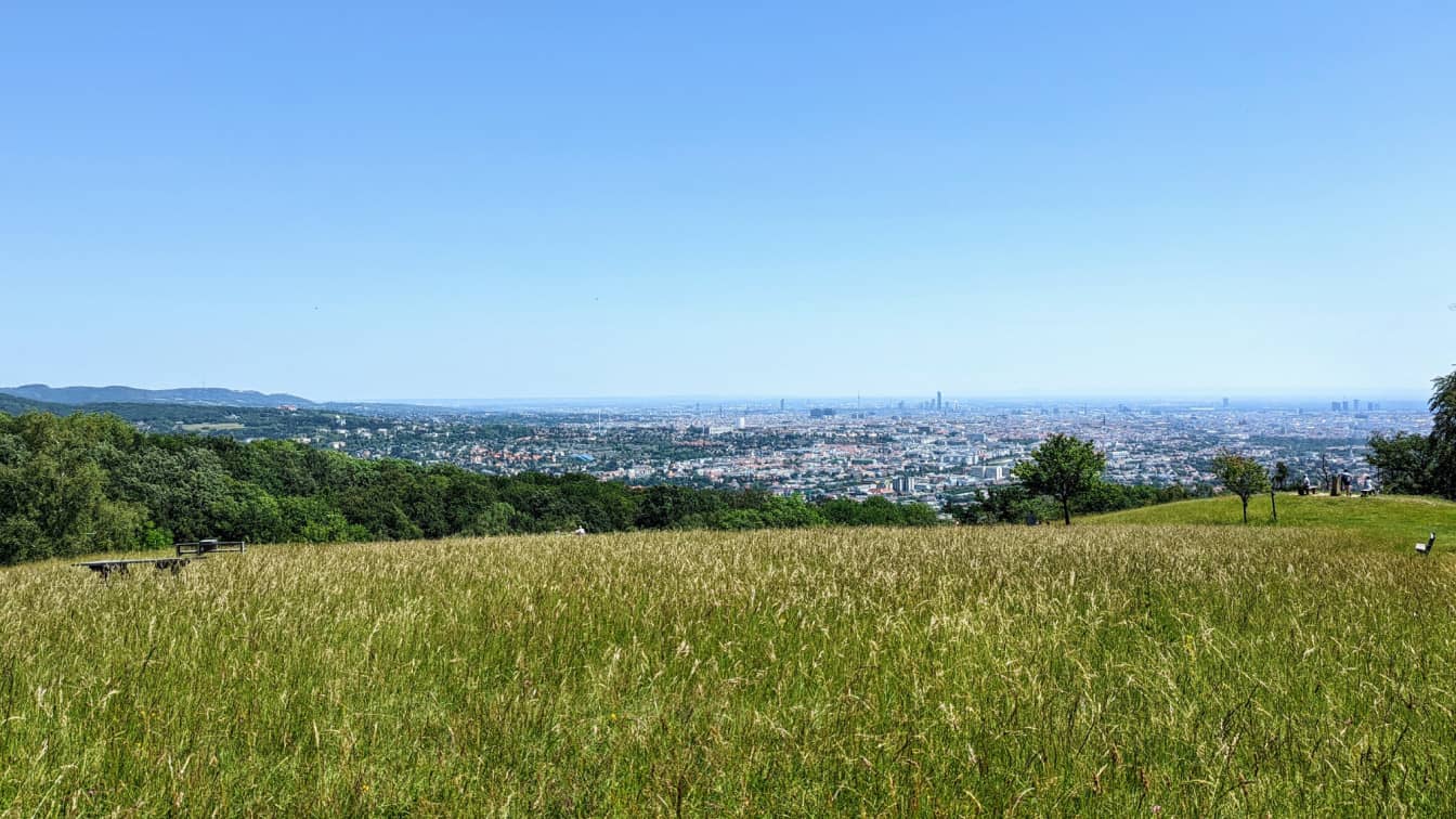 Aussichtswiese "Wienblick" im Lainzer Tiergarten (c) Michael Simmer | 1000things Wiener Bezirke Aussicht Wien Lainzer Tiergarten Wienblick