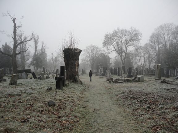 Nebel Wien