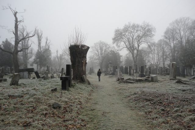 Nebel Wien