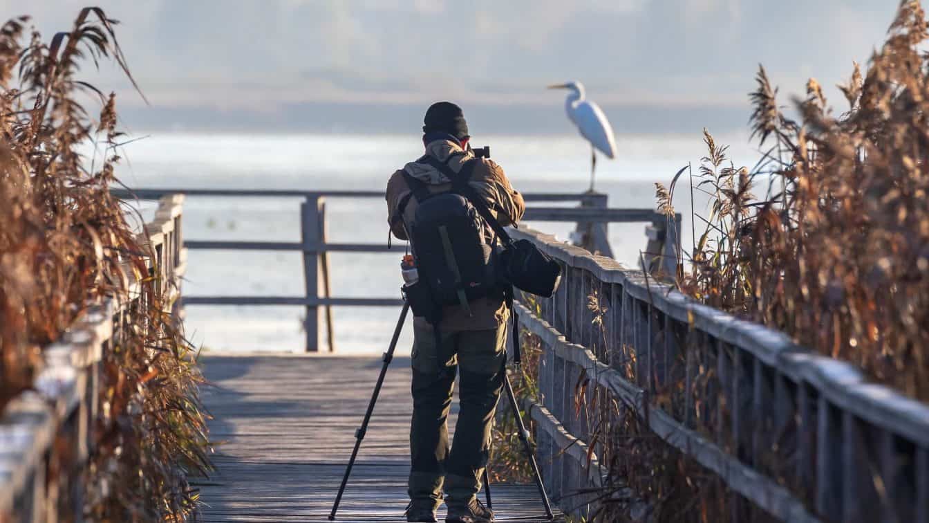 (c) Pixabay Fotografieren im Moor