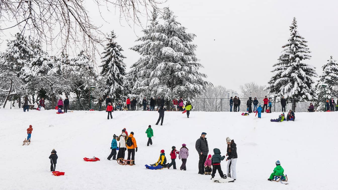 In 15 Wiener Parks gibt es größere und kleinere Rodelhügel. (c) MA 42 | Houdek Rodeln in Wien
