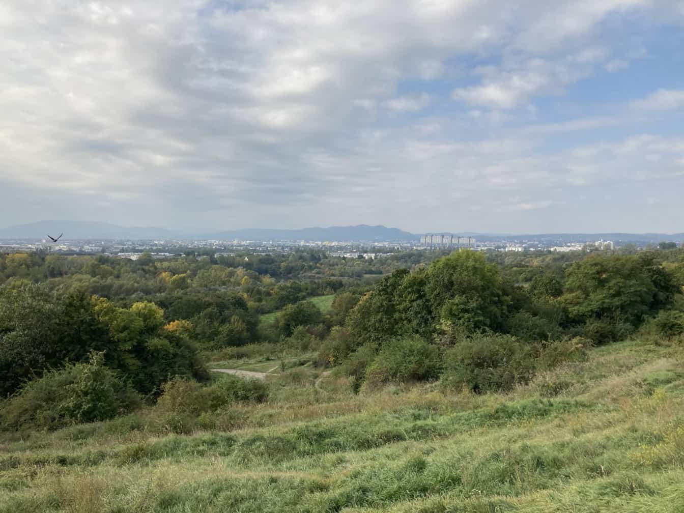Stadtwanderweg 12: Der Blick vom Wienerberg (c) Christoph Steinhart