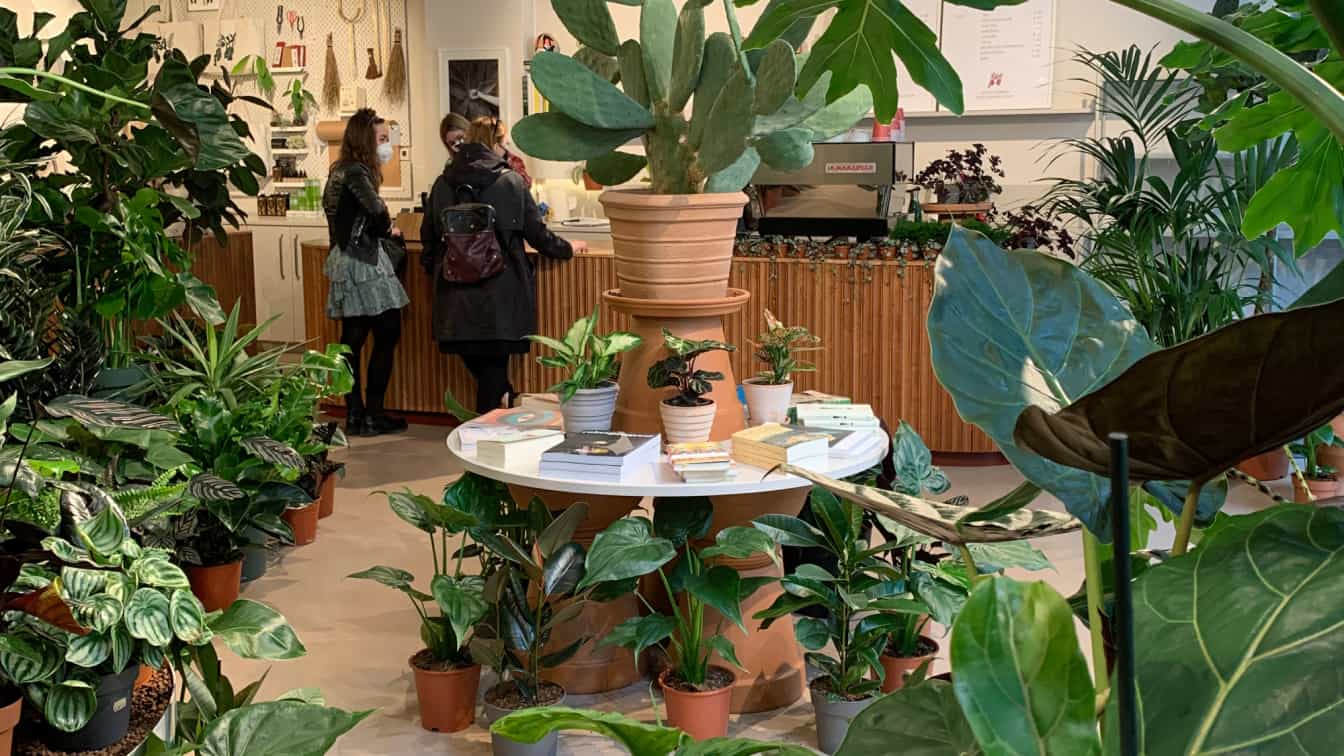 (c) Lisa Oberndorfer | 1000things Calienna