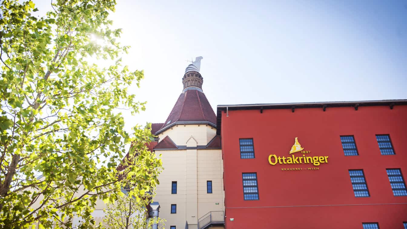 (c) Schwarzhirsch Bier Orte Wien