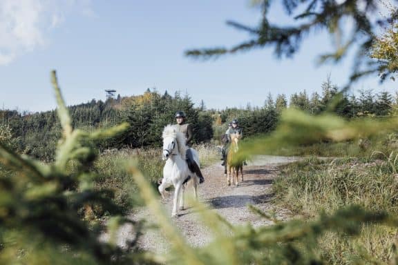 Hausruckwald (c) Oberösterreich Tourismus | Hausruckwald | Tom Son