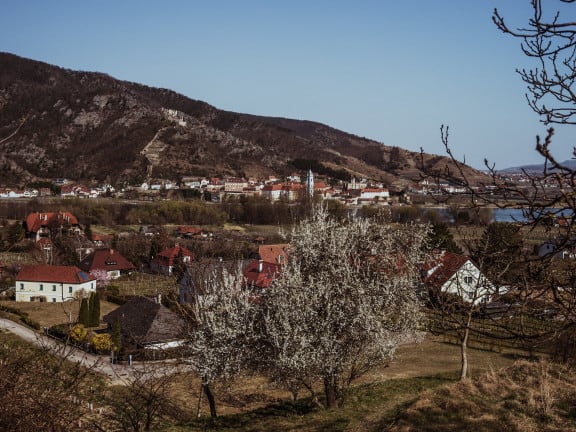 Rossatz in der Wachau (c) Katharina Tesch | 1000things