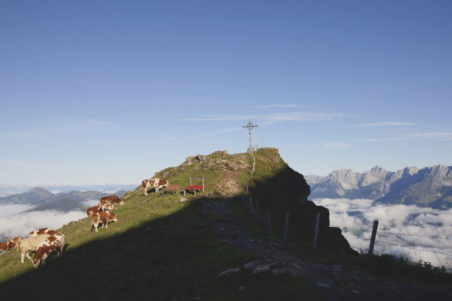 alpenfeeling