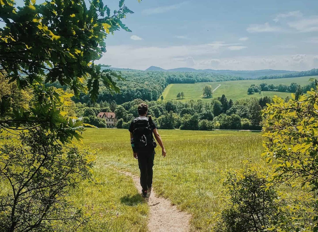 Eine Person wandert durch den Wienerwald, Wanderei Impression Etappe 1 Wienerwald