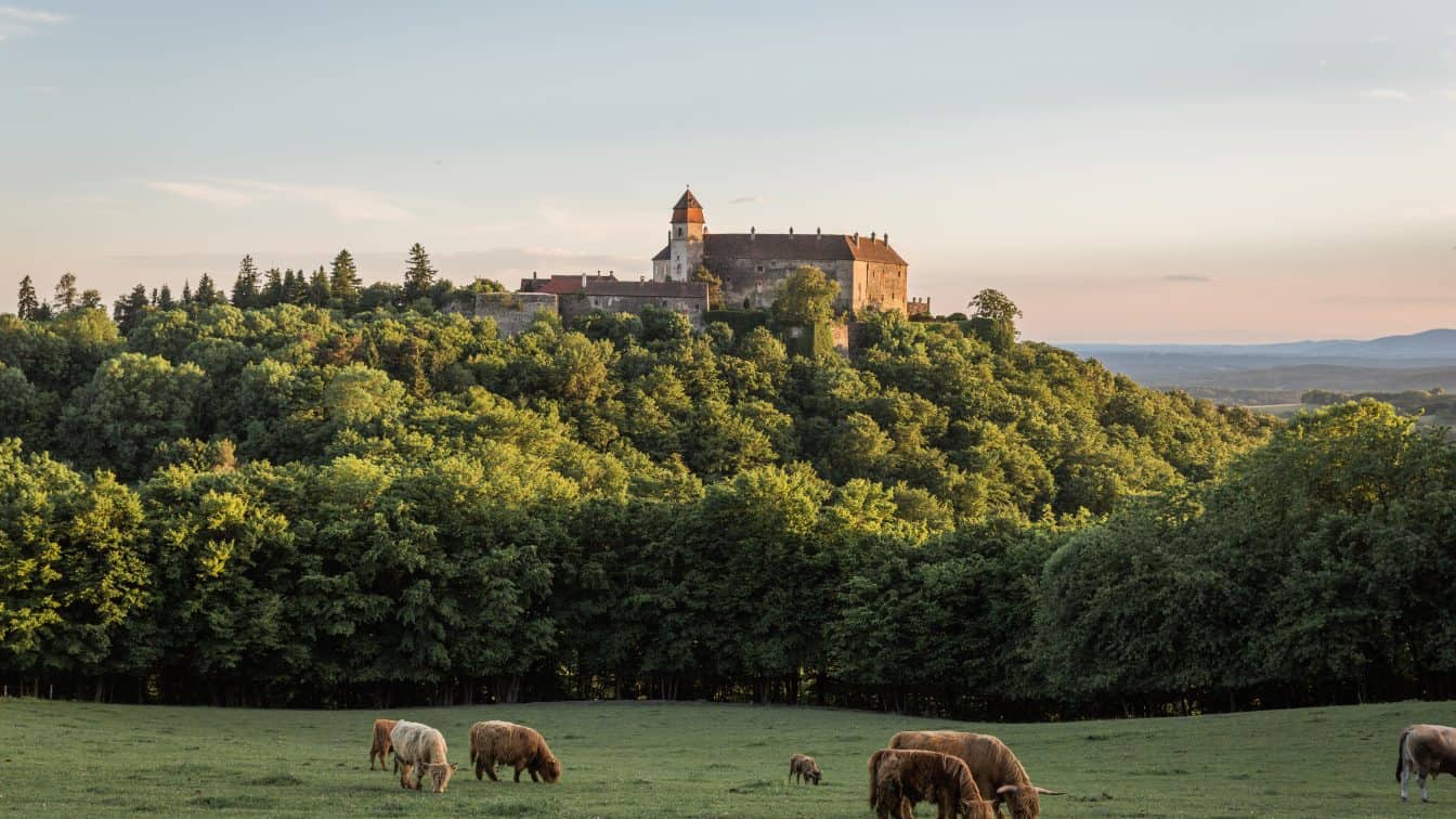 (c) Matthias Kronfuss | Burg Bernstein BurgBernstein (c) Matthias Kronfuss