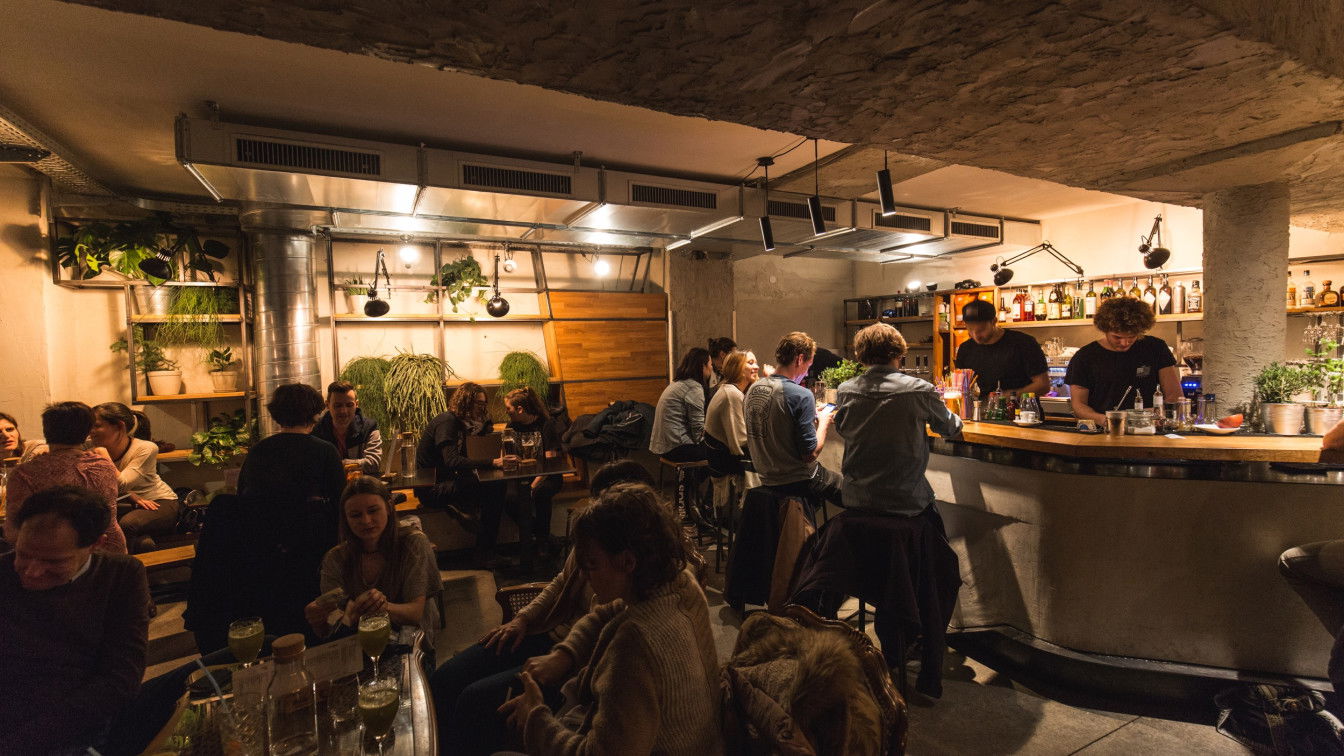 (c) Kater Noster | Charly Schwarz Kater Noster Innsbruck