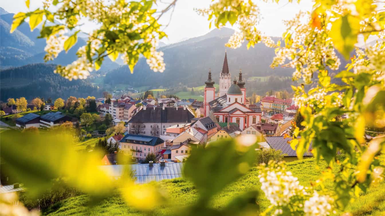 (c) www.mariazellerland-blog.at – TVB Mariazeller Land Mariazell Basilika
