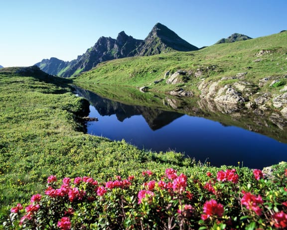 Tirol Alpbachtal