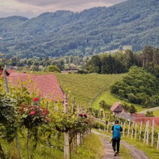 Wanderei Woche 4 Südsteiermark