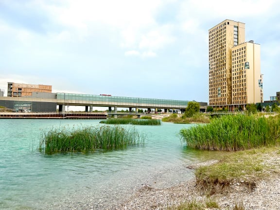 Badeplätze Wien Seestadt
