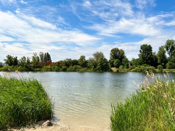 Badeplätze Wien Strombucht