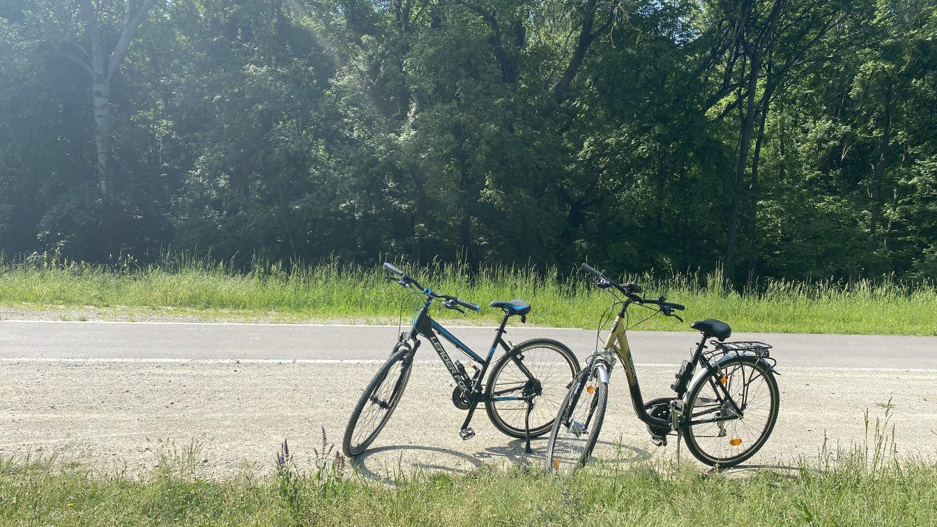 (c) Viktoria Klimpfinger Zwei Räder am Donauradweg