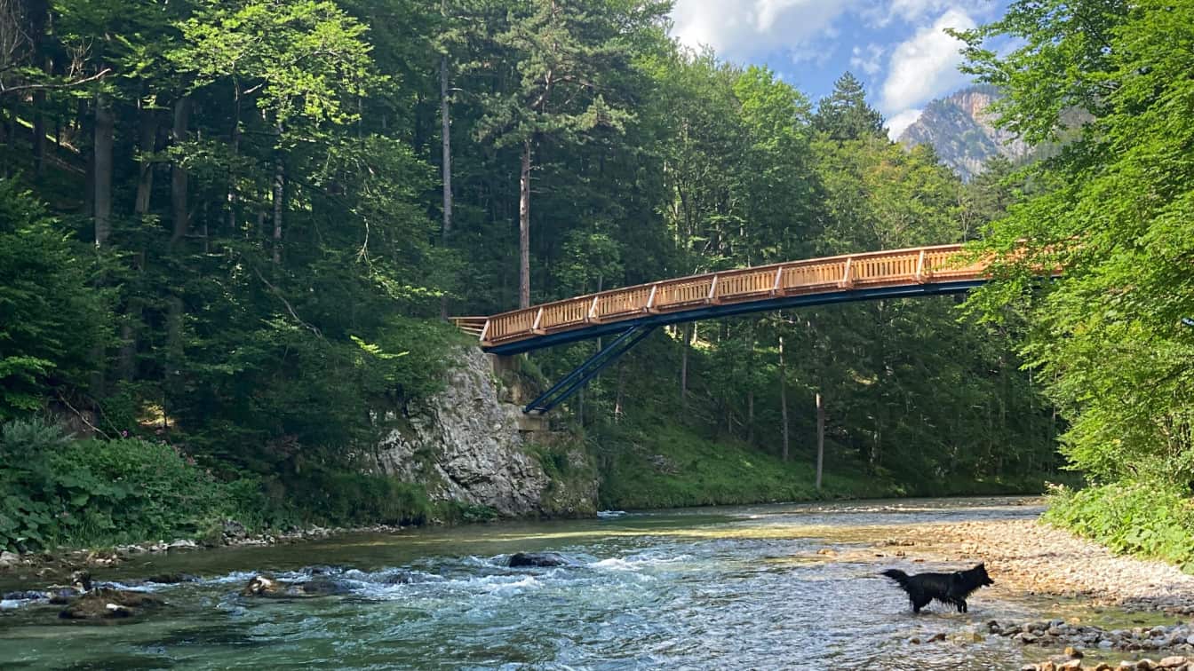 Der Wasserleitungsweg im Höllental (c) Alissa Hacker | 1000things Der Wiener Wasserleitungsweg im Höllental