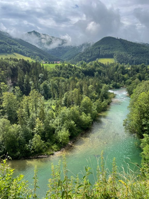 Fluss Steyr