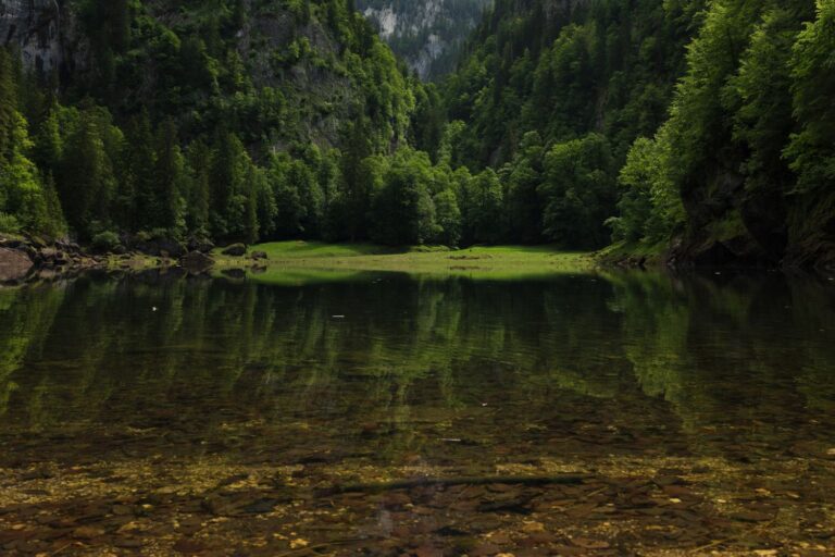 Mystischer Blick auf den Kammersee im Ausseerland – glasklares Wasser, umgeben von steilen, bewaldeten Felswänden und dichter Naturkulisse im Salzkammergut, ideal für Naturfreunde und Wanderer.