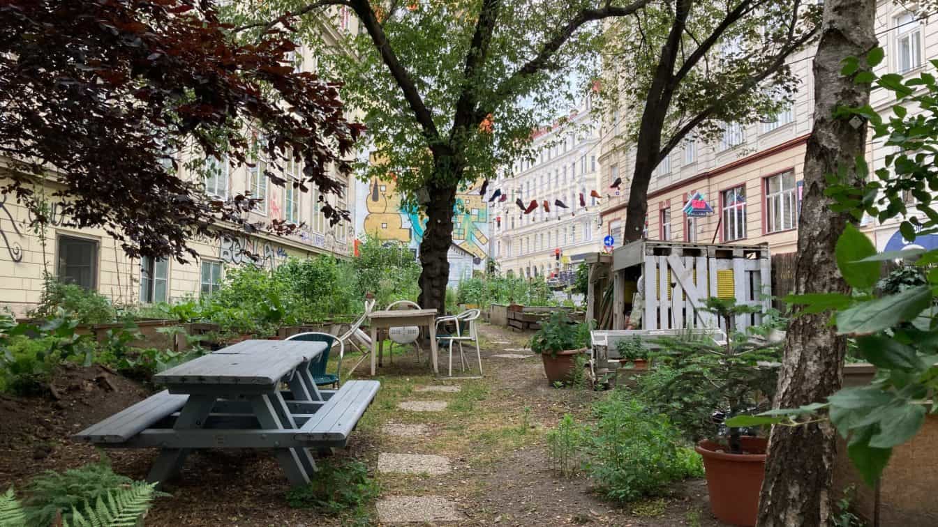 Der Gemeinschatftsgarten Salatpiraten in Neubau (c) Alissa Hacker | 1000things Salatpiraten Gemeinschaftsgarten