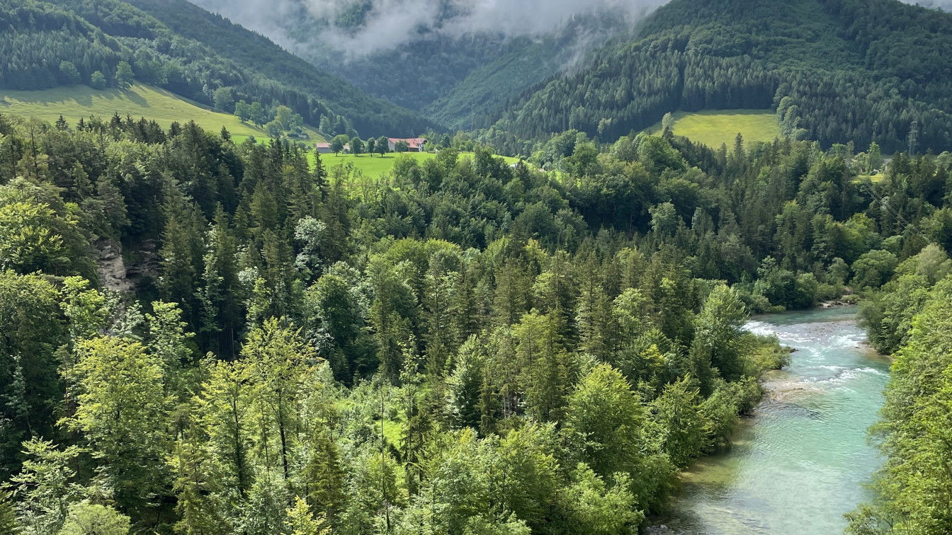 (c) Lisa Oberndorfer | 1000things Fluss Steyr in Molln