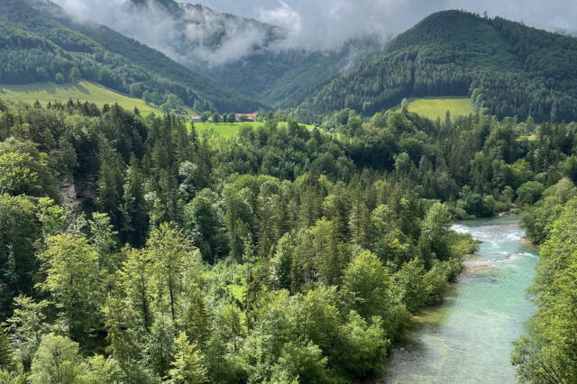 Fluss Steyr in Molln