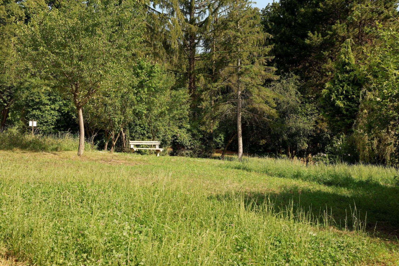 Picknicken in Wien: Foto vom Erholungsgebiet Steinhofgründe, 1140