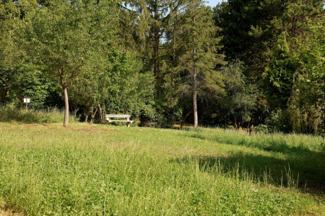 Picknicken in Wien: Foto vom Erholungsgebiet Steinhofgründe, 1140
