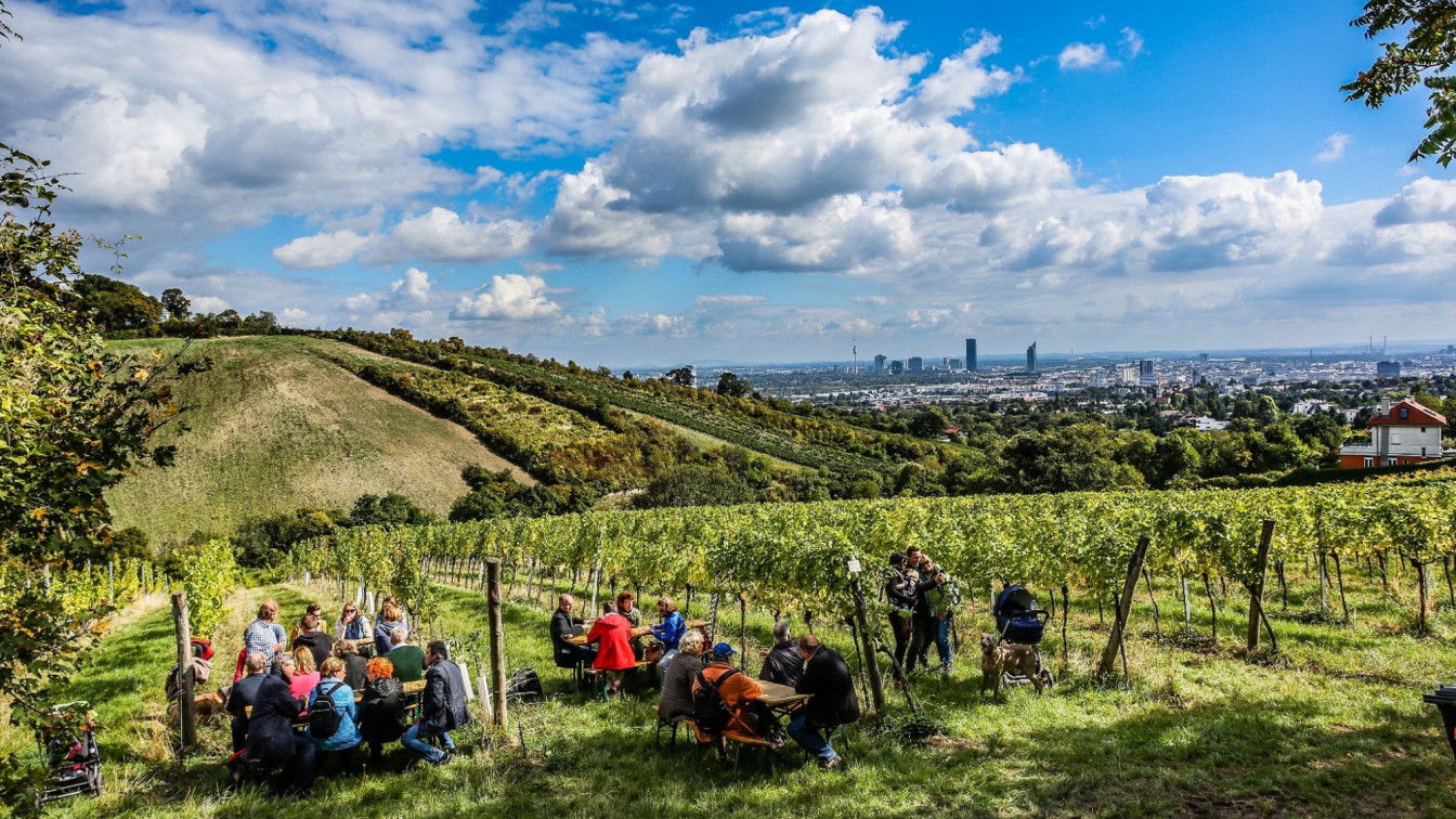 (c) PID | Christian Fürthner Wiener Weinwandertag Heuriger Aussicht