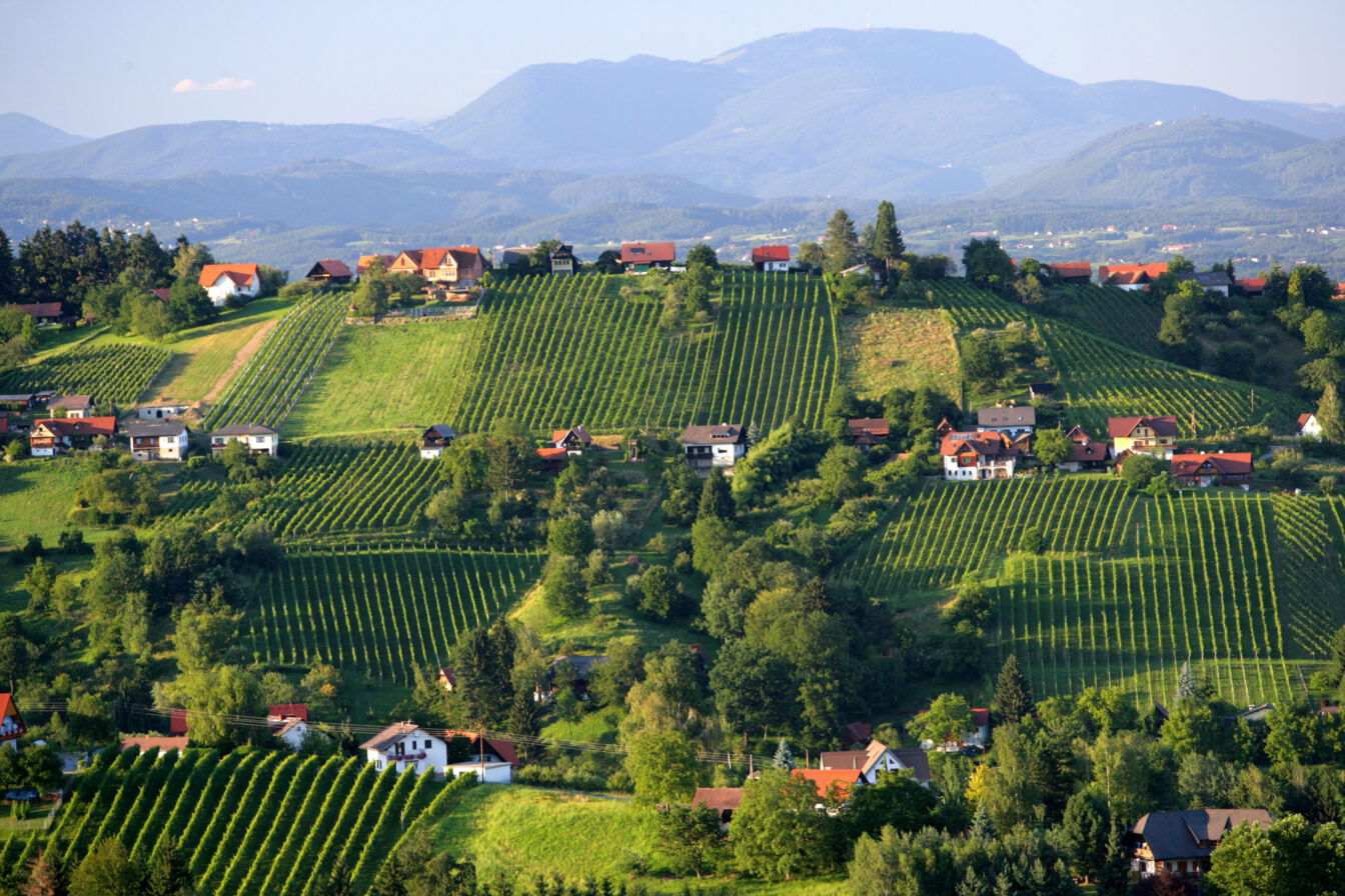 Schilcher Weinstraße