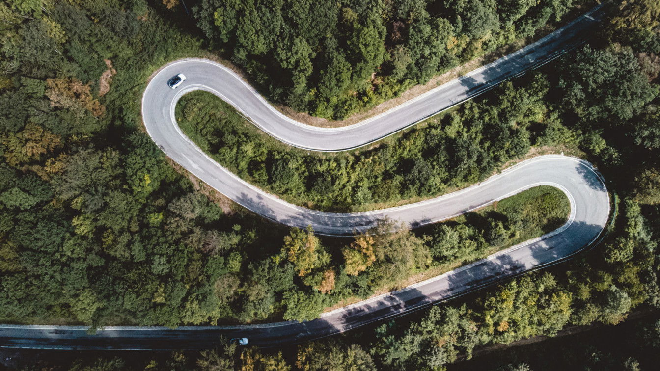 Ab durch den Wald mit dem Auto (c) Kathi Tesch | 1000things Ausflug