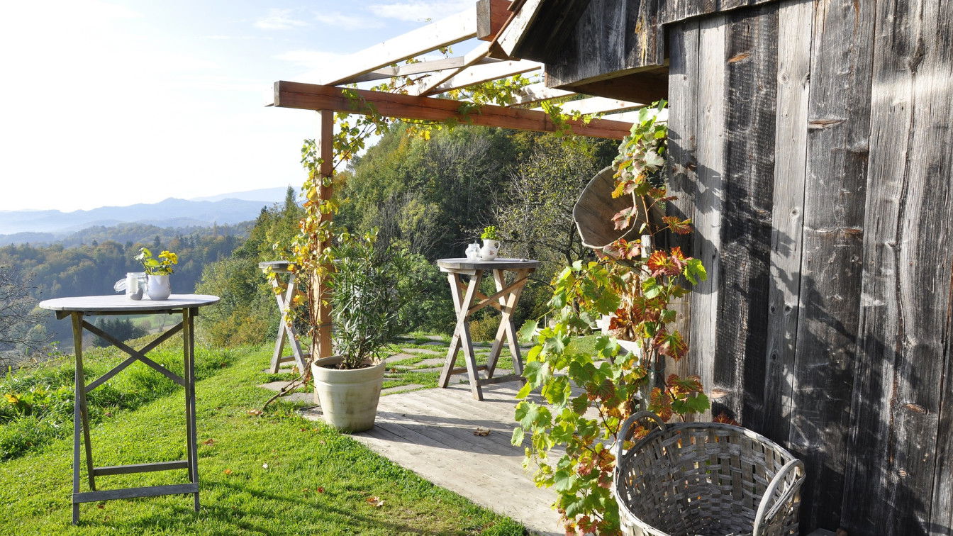 https://pixabay.com/de/photos/s%c3%bcdsteiermark-wein-herbst-1547355/ Steiermark Herbst