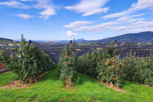 steirische Apfelstraße