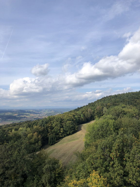 Weinwandern Steiermark