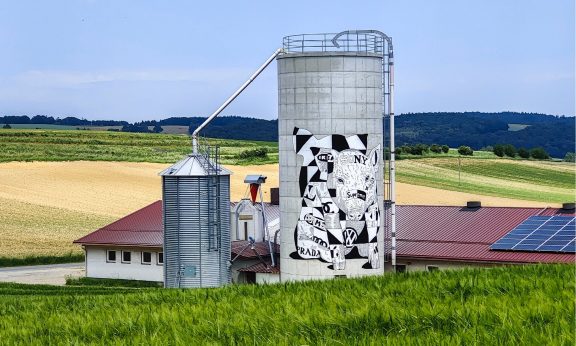 Würmlas Wände