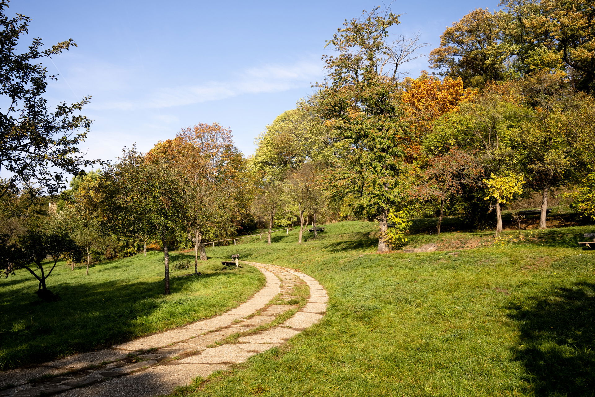 Herbst Spaziergänge Wien