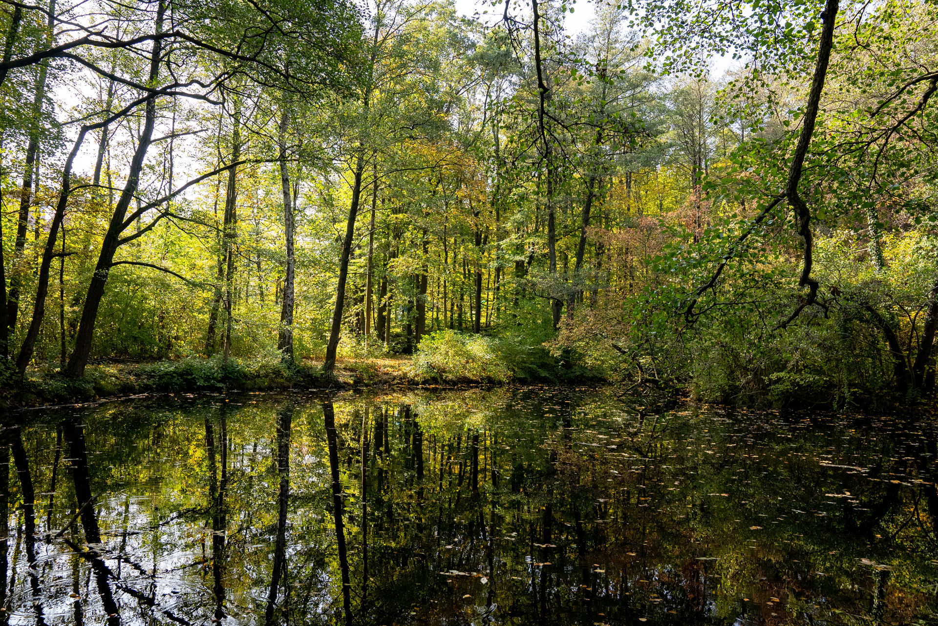 Herbst Spaziergänge Wien