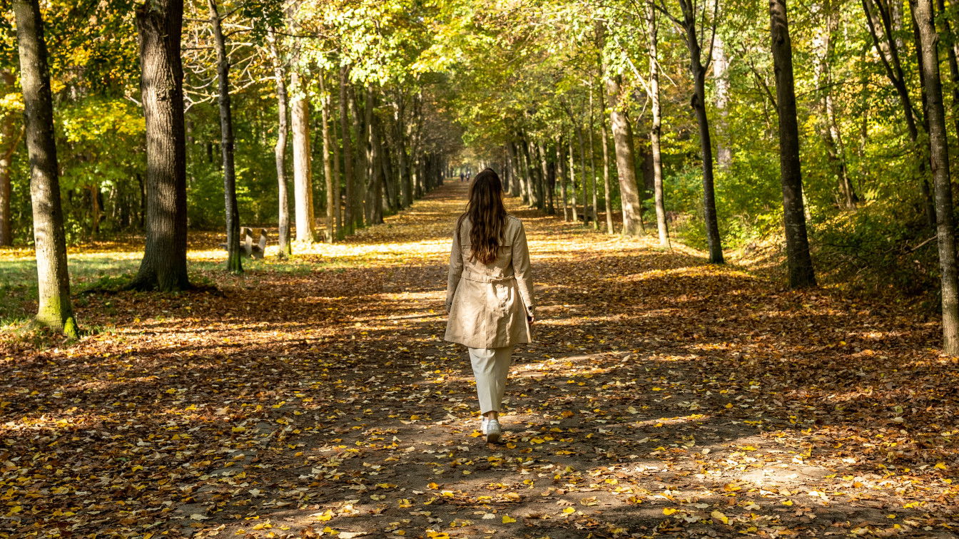 Herbst Spaziergänge Wien